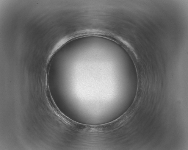 X0000080791365200701051342