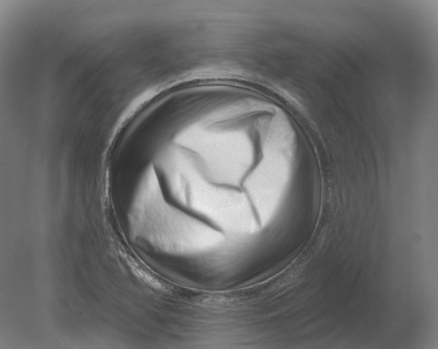 X0000080791366200701051342