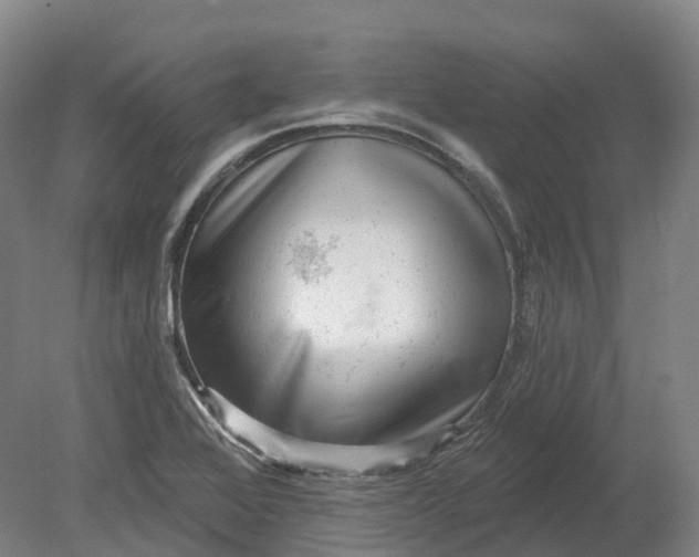 X0000080791368200701051342