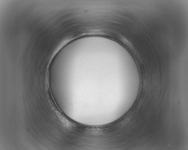X0000080791370200701051342