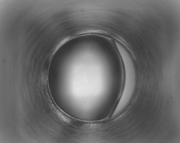 X0000080791377200701051342