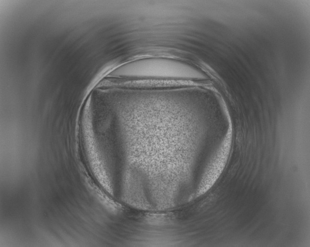 X0000080791378200701051342