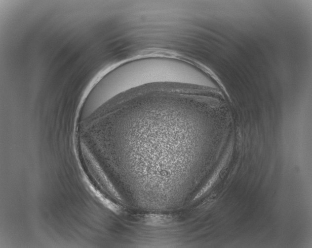 X0000080791379200701051342