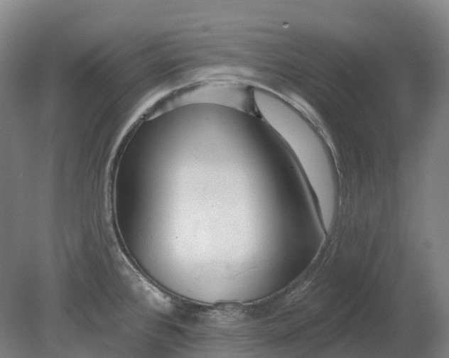 X0000080791384200701051342