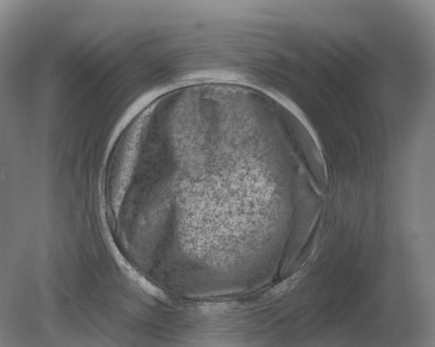 X0000080791389200701051342