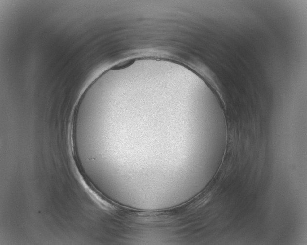 X0000080791391200701051342