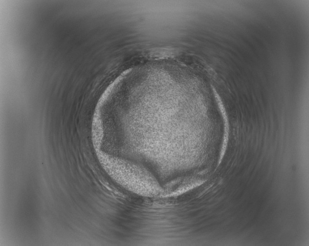 X0000080791393200701051341