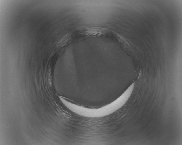 X0000080791394200701051341