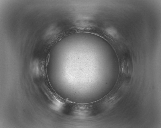 X0000080791396200701051341