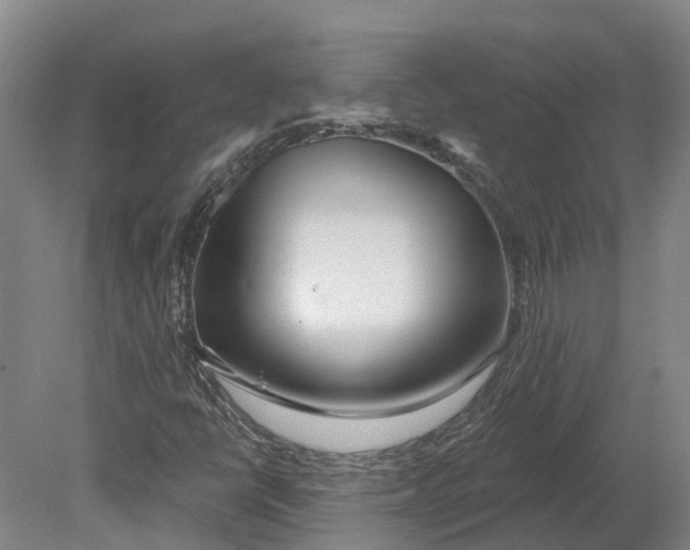 X0000080791398200701051341