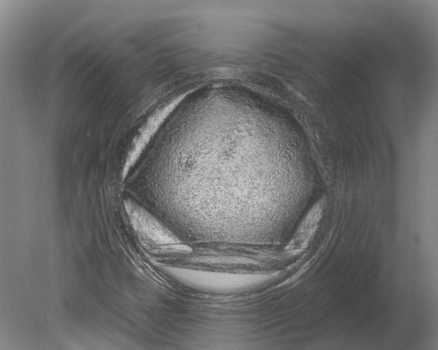X0000080791401200701051341