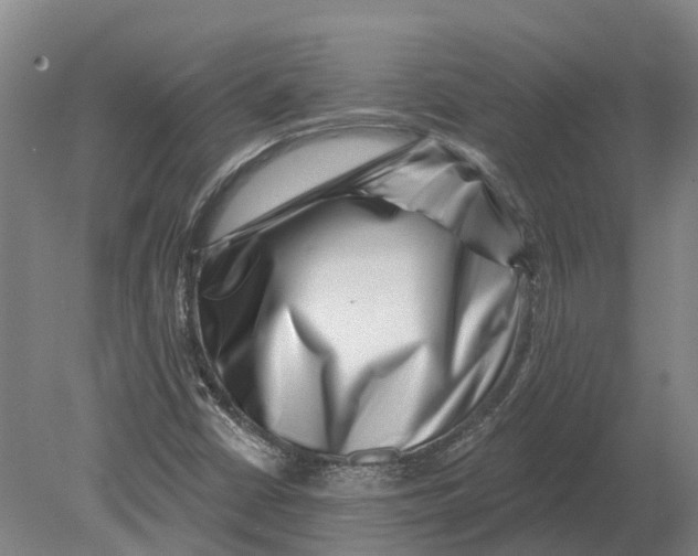 X0000080791402200701051341