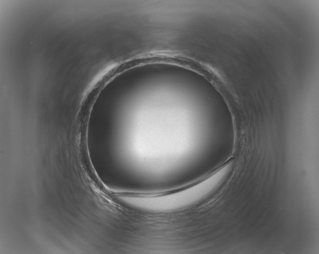 X0000080791406200701051341