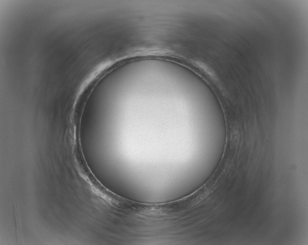 X0000080791414200701051341
