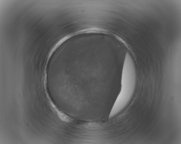 X0000080791418200701051342