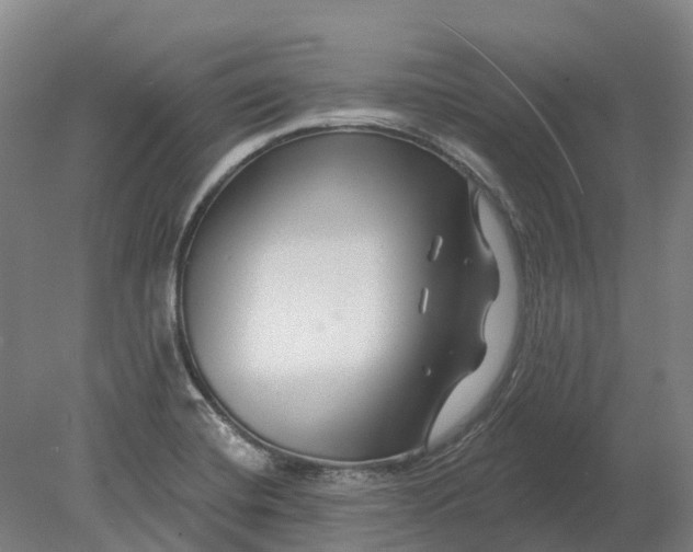 X0000080791420200701051342