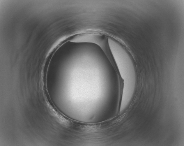X0000080791422200701051342