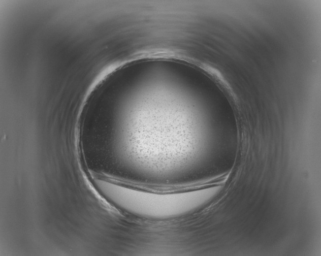 X0000080791424200701051342