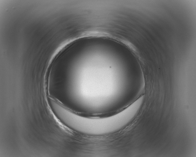 X0000080791430200701051342