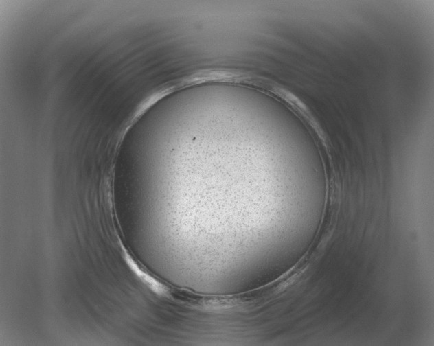 X0000080791433200701051342