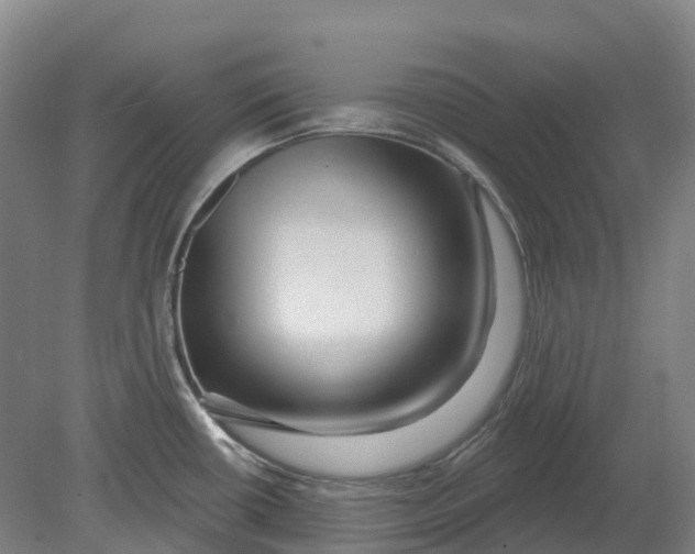 X0000080791434200701051342