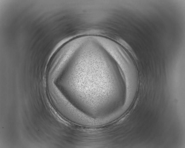 X0000080791436200701051342