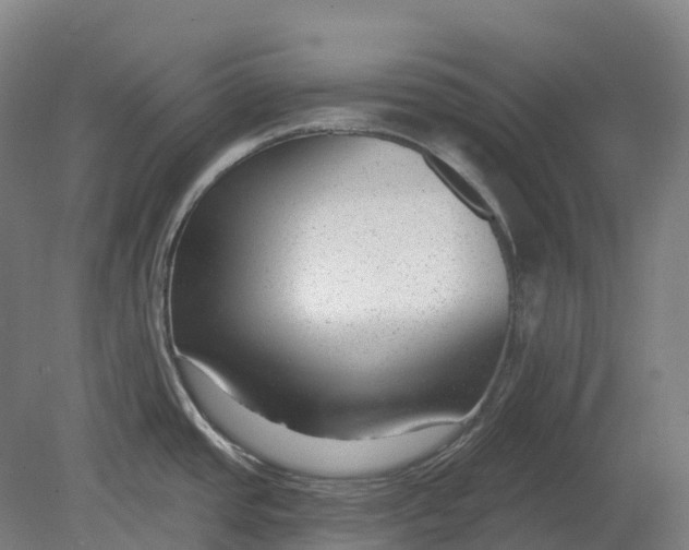 X0000080791437200701051342
