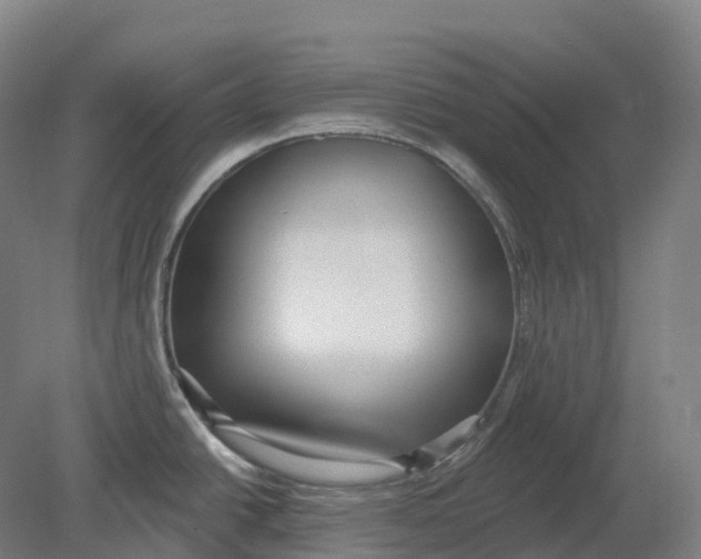 X0000080791438200701051342