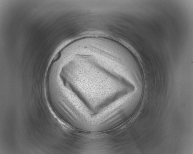 X0000080791440200701051342