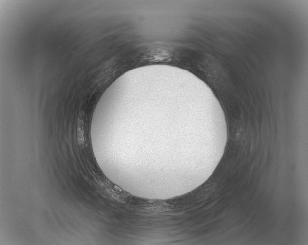 X0000080791442200701051341