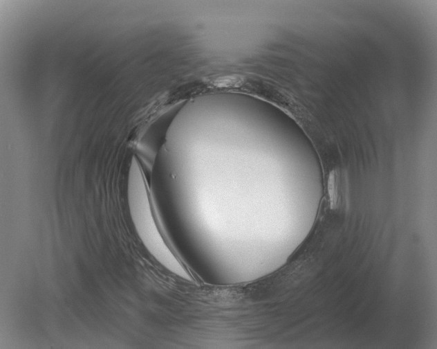 X0000080791443200701051341