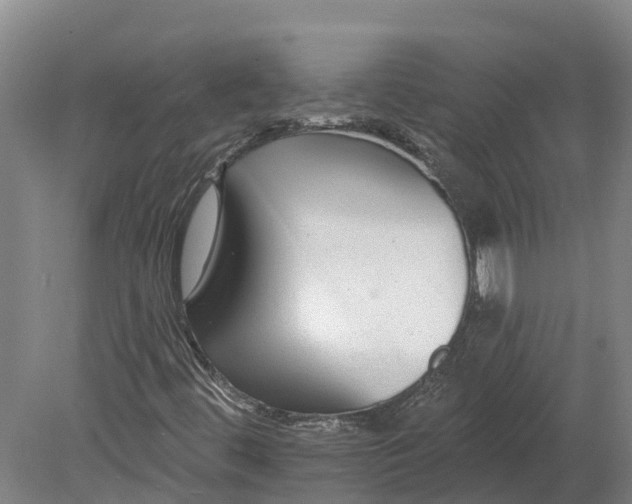 X0000080791444200701051341