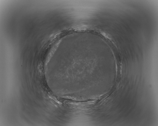 X0000080791445200701051341