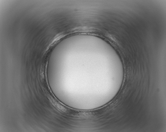 X0000080791451200701051341