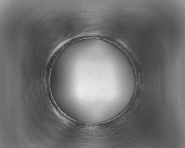 X0000080791452200701051341