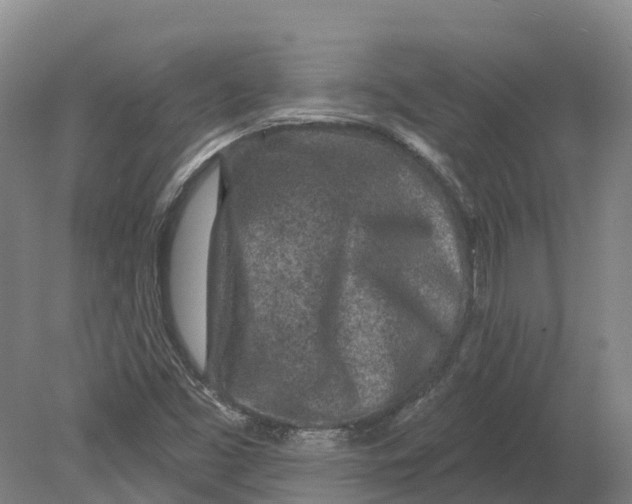 X0000080791453200701051341