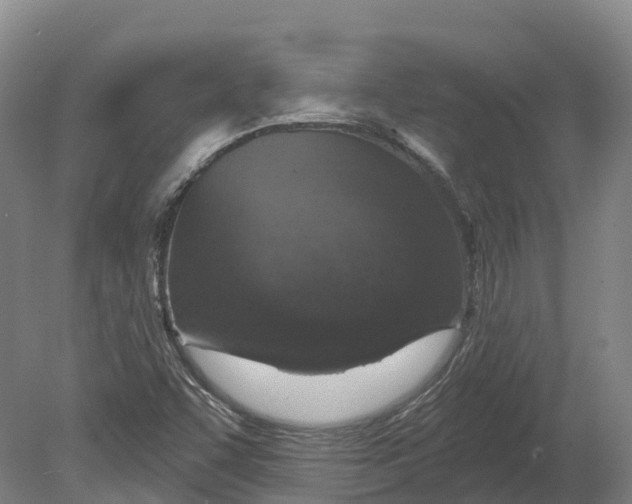 X0000080791455200701051341