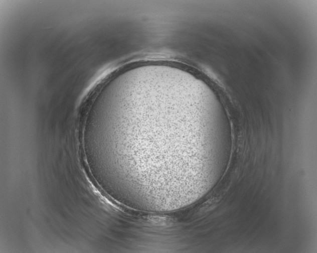 X0000080791456200701051341