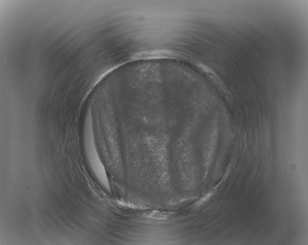 X0000080791457200701051341