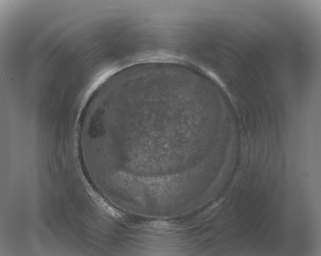 X0000080791463200701051341