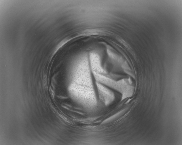 X0000080791465200701051341