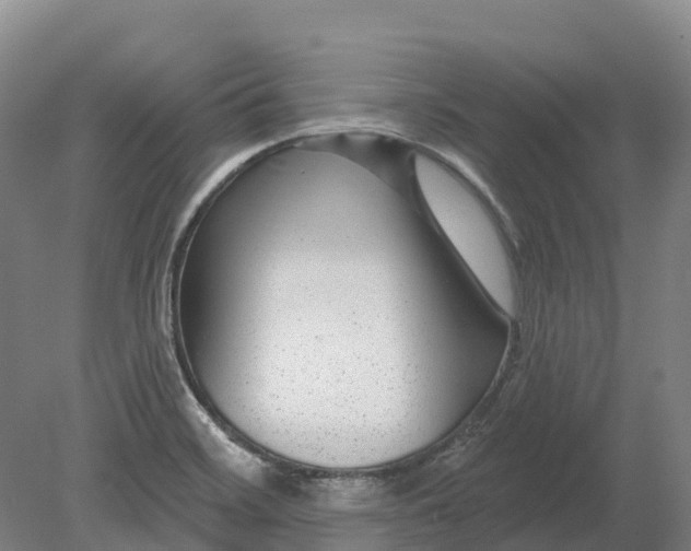 X0000080791468200701051341