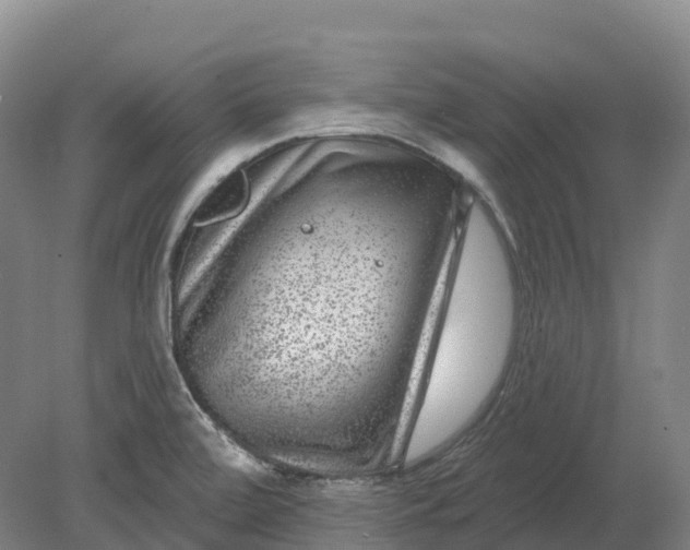 X0000080791472200701051341