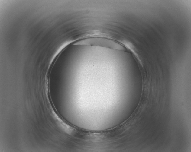 X0000080791476200701051341