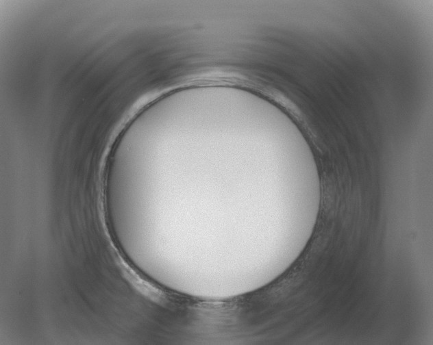 X0000080791478200701051340