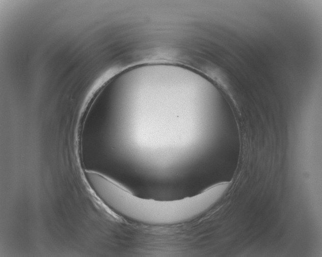 X0000080791480200701051340