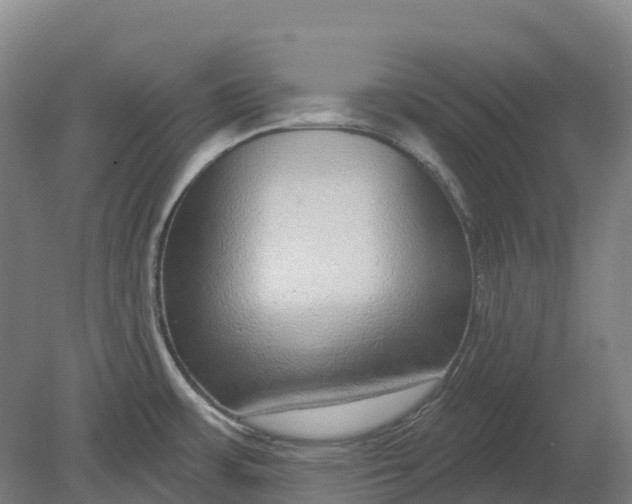 X0000080791483200701051340