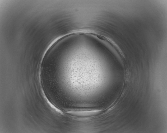 X0000080791484200701051340