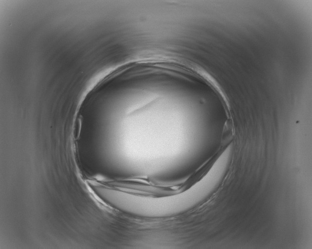 X0000080791485200701051340