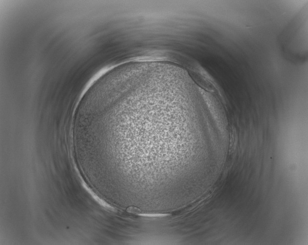 X0000080791487200701051340